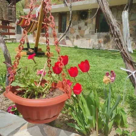 Πανσιόν гаджакови Ντέβιν