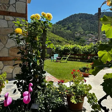 гаджакови 3* Ντέβιν
