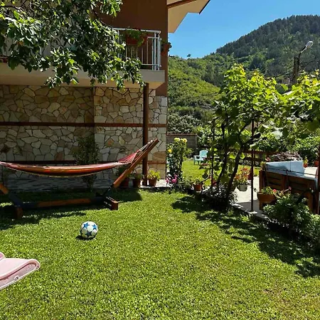 Πανσιόν гаджакови