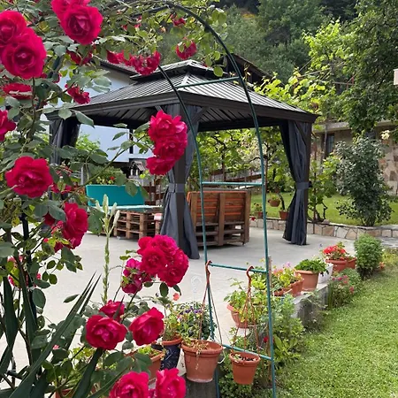 Πανσιόν гаджакови 3*