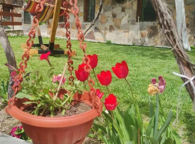 Gasthof гаджакови Dewin