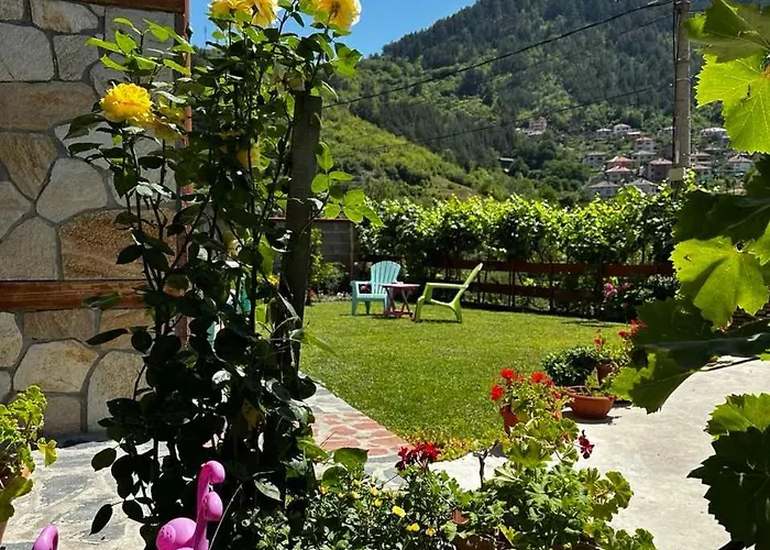 гаджакови 3* Dewin